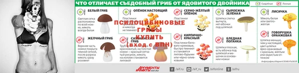 apvp Алексин