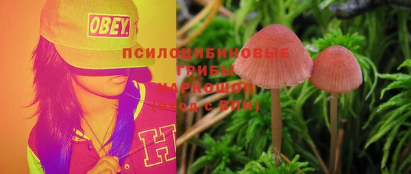 apvp Алексин